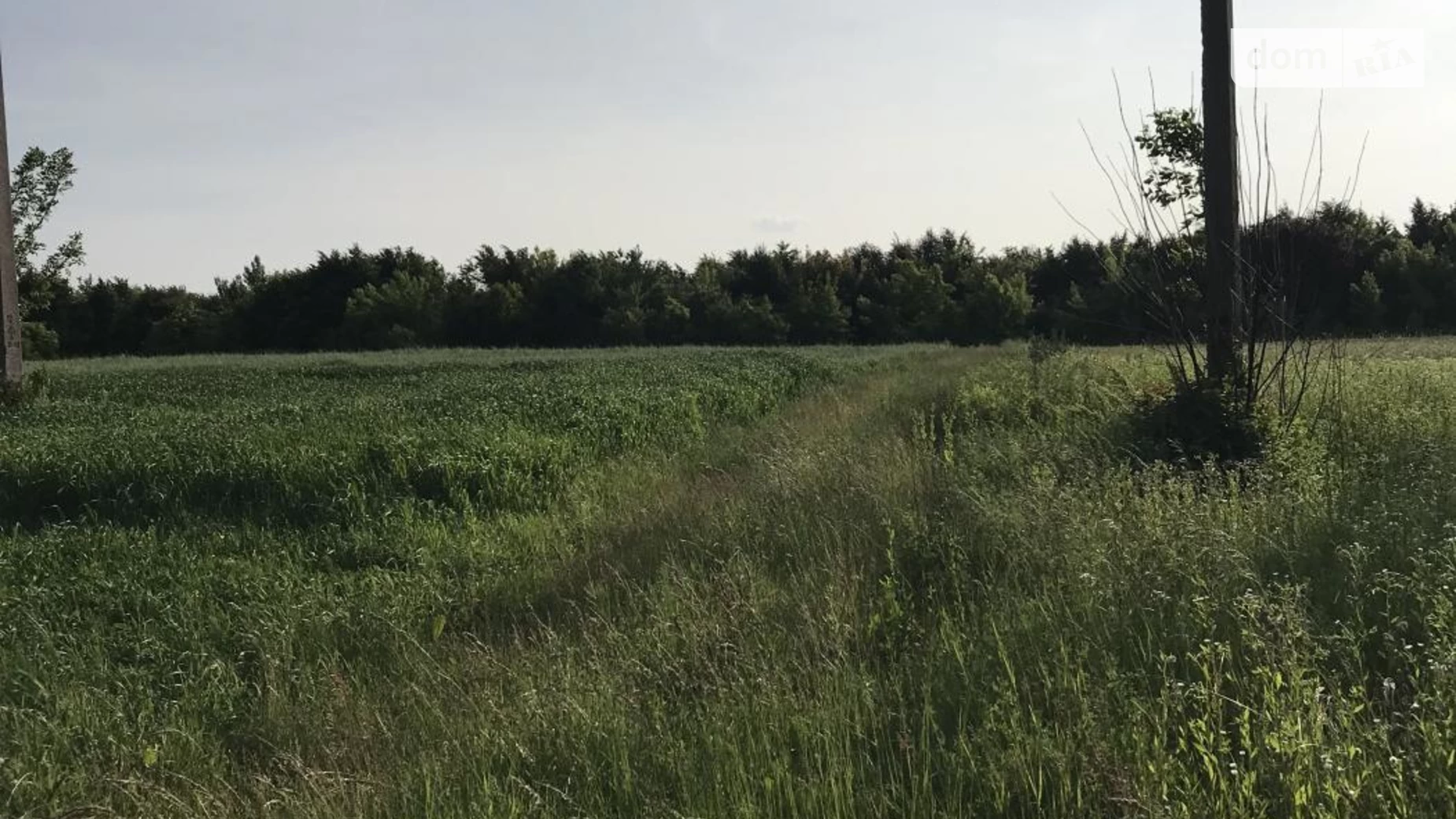 Продається земельна ділянка 30 соток у Рівненській області, цена: 10000 $ - фото 4