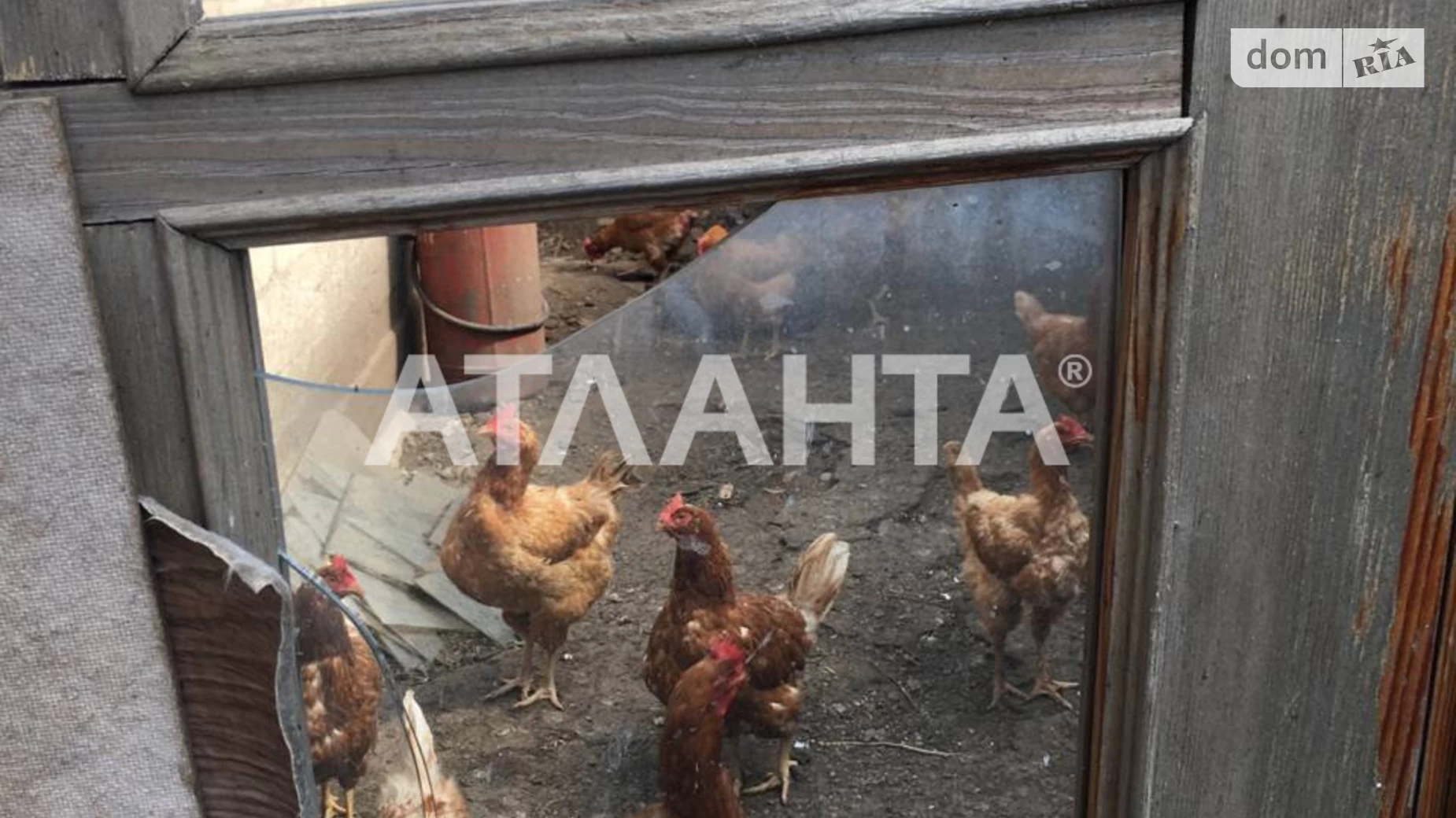 Продается одноэтажный дом 55 кв. м с террасой, цена: 35000 $ - фото 2