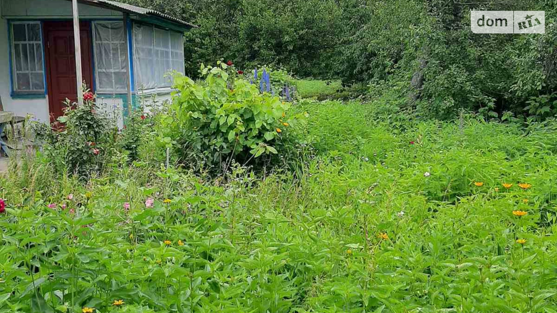 ул. Шевченко(Красноармейская), 40 Згуровка, цена: 17 $ - фото 5