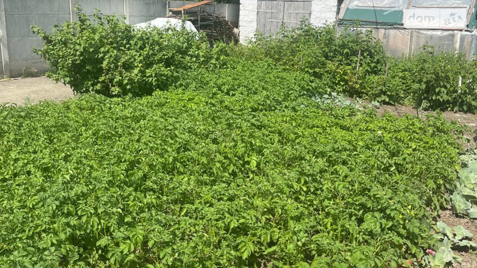 Продається одноповерховий будинок 112 кв. м з бесідкою, цена: 52000 $ - фото 3