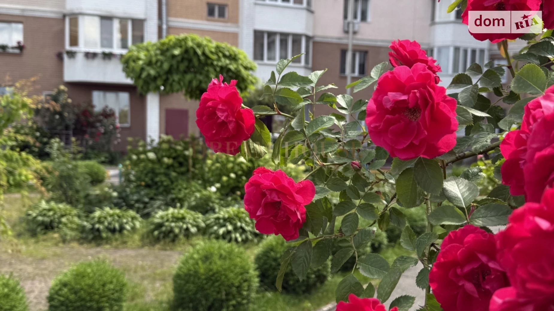 Продається 1-кімнатна квартира 48.7 кв. м у Бучі, вул. Нове Шосе, 14 - фото 4