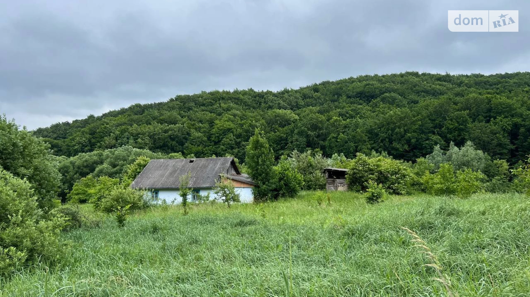 Продається земельна ділянка 99 соток у Чернівецькій області, цена: 45000 $ - фото 5