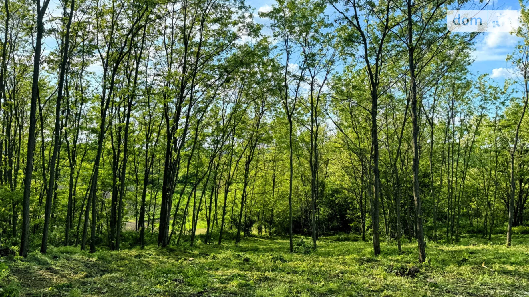 Продається земельна ділянка 6 соток у  області, цена: 8500 $ - фото 2