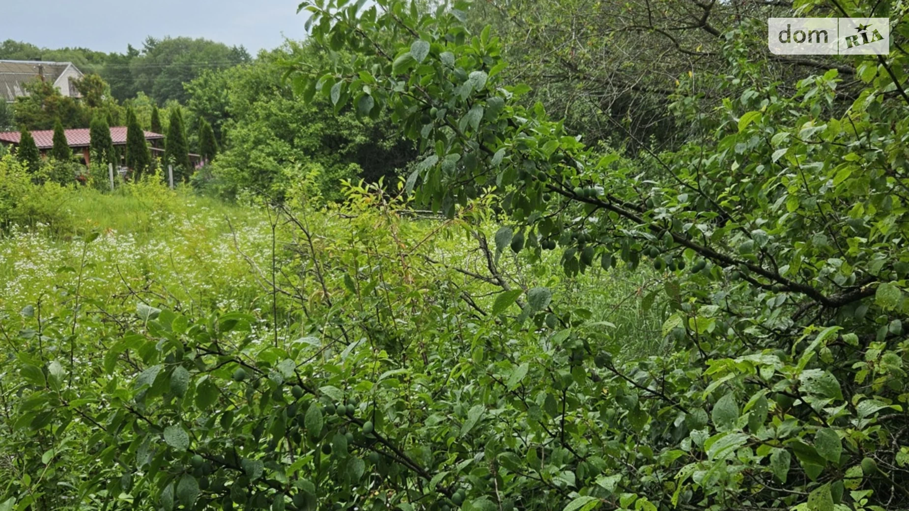 Продається земельна ділянка 5 соток у Вінницькій області, цена: 15000 $ - фото 3
