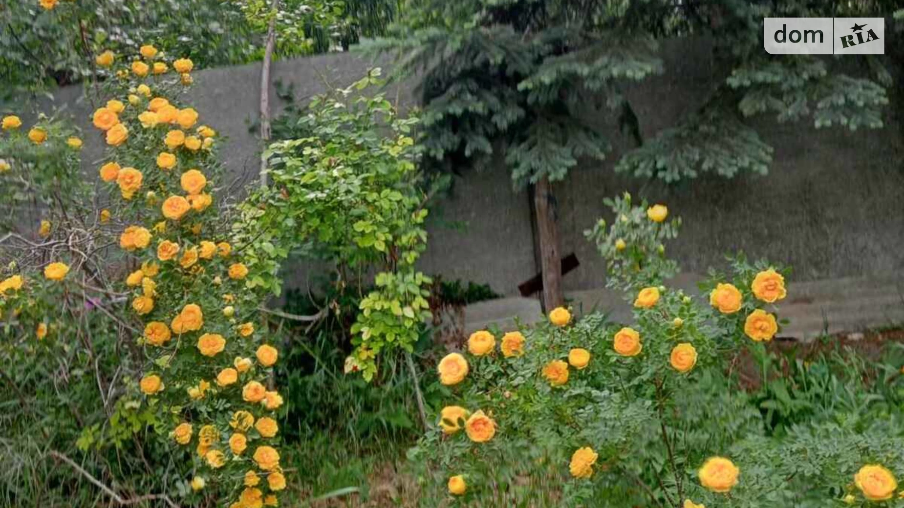 Продається одноповерховий будинок 72.1 кв. м з каміном, цена: 9500 $ - фото 3