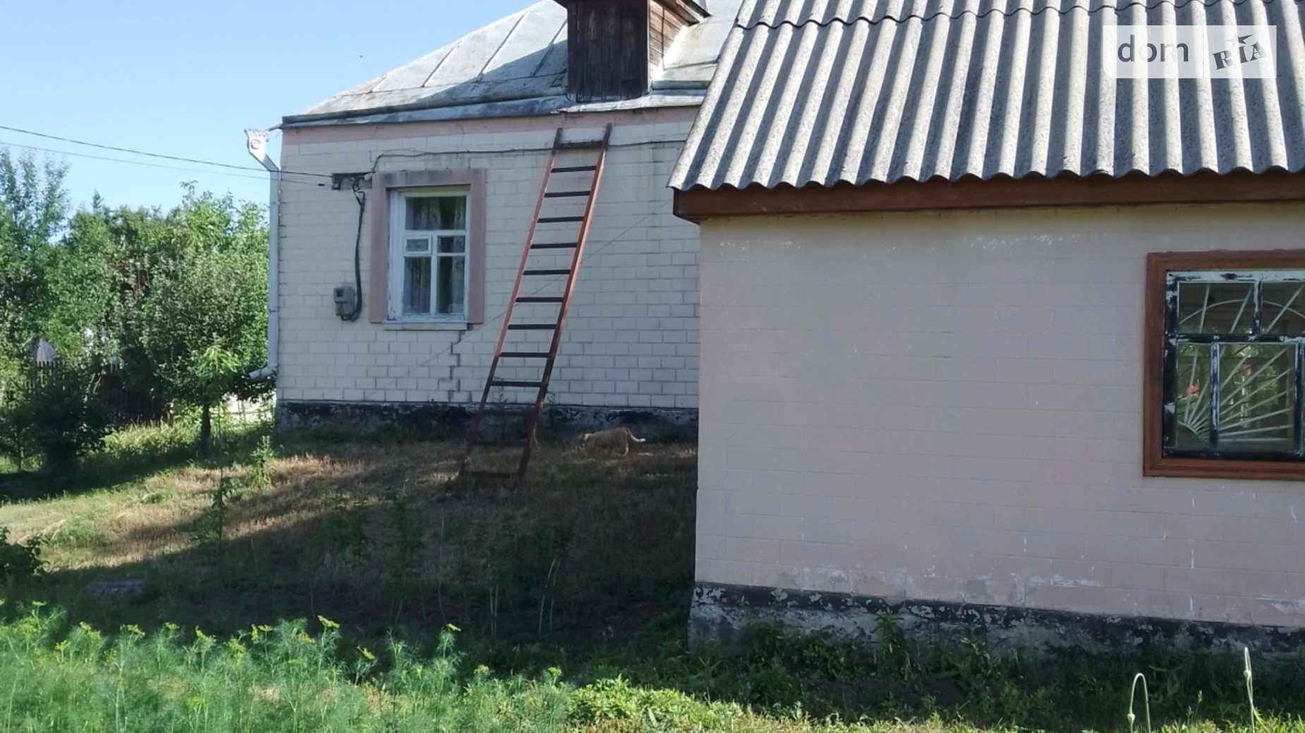 Продается одноэтажный дом 70 кв. м с балконом, цена: 30000 $ - фото 3