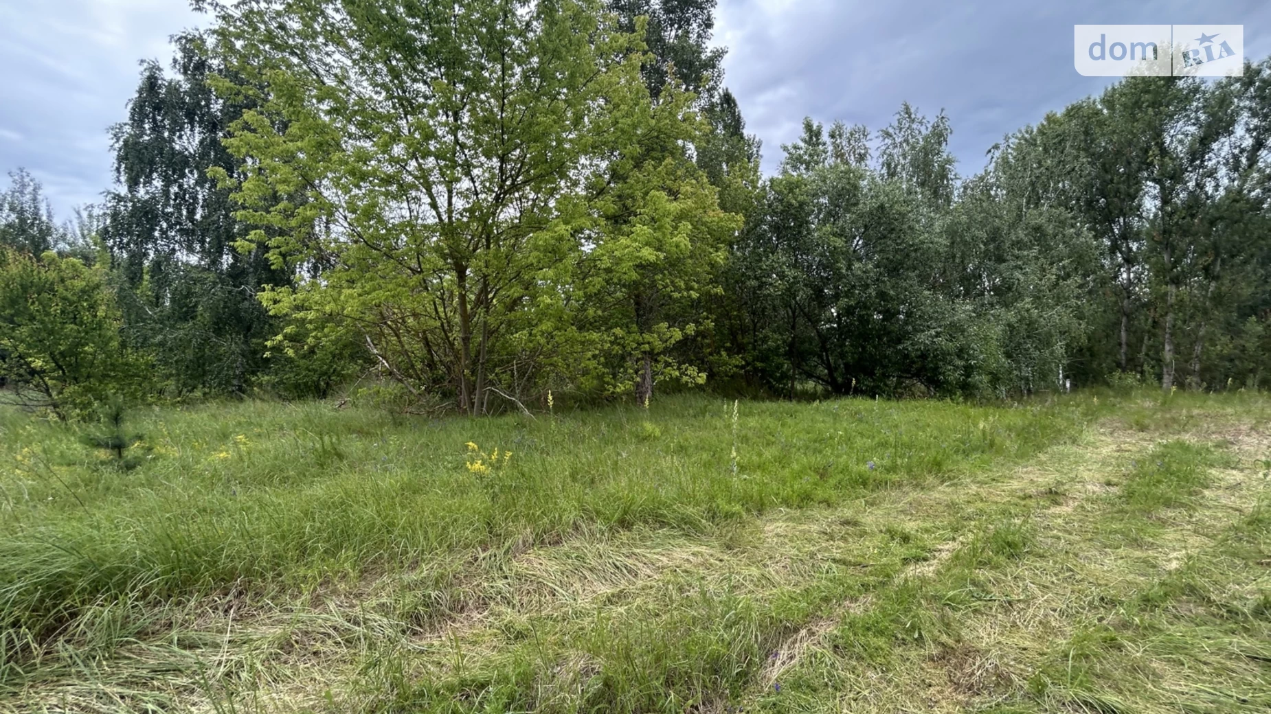 вул. Грушева Білогородка, цена: 37000 $ - фото 3