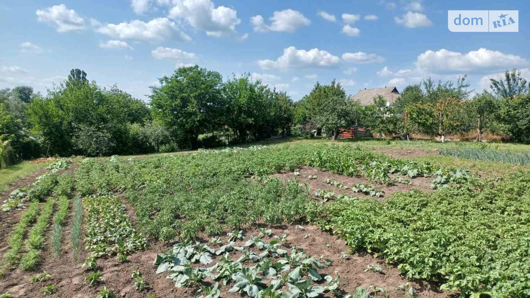 Продается одноэтажный дом 100 кв. м с гаражом, цена: 98000 € - фото 4
