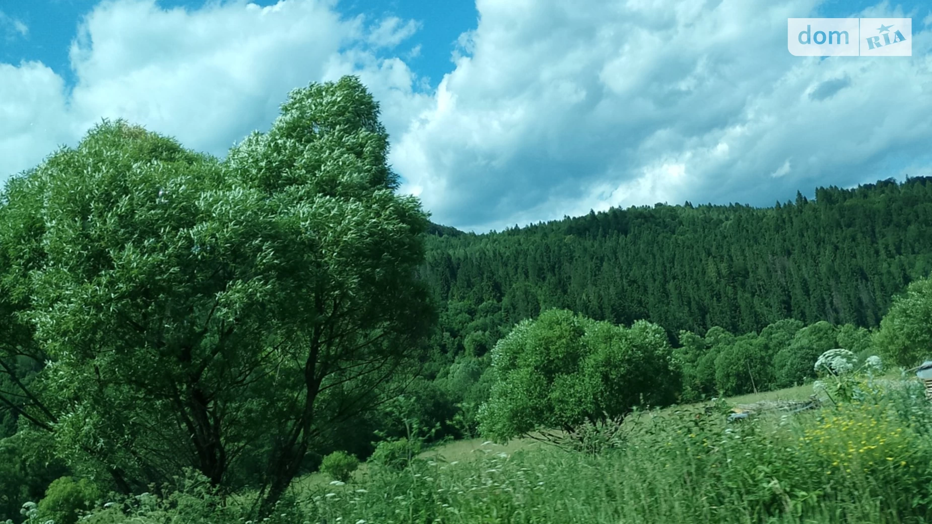 Продається земельна ділянка 20 соток у Закарпатській області, цена: 20000 $ - фото 3