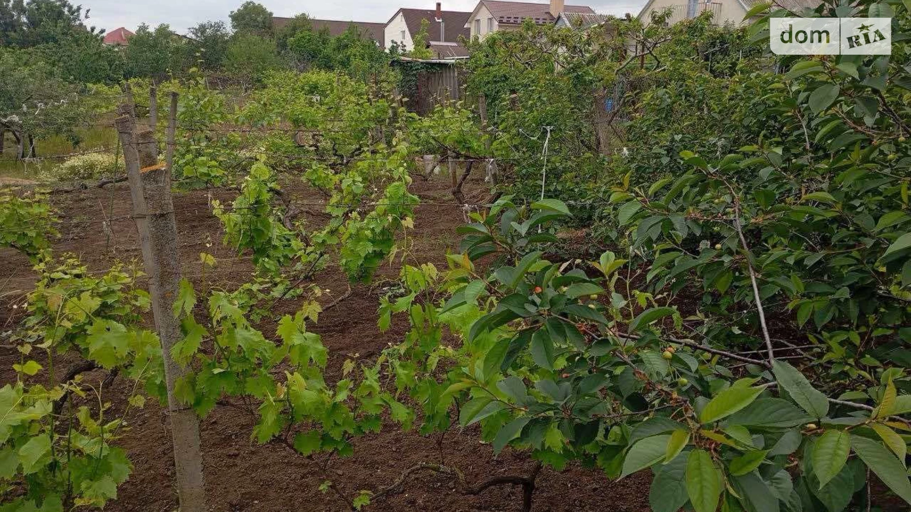 вулиця Центральна Крыжановка (Одесса), цена: 73000 $ - фото 4
