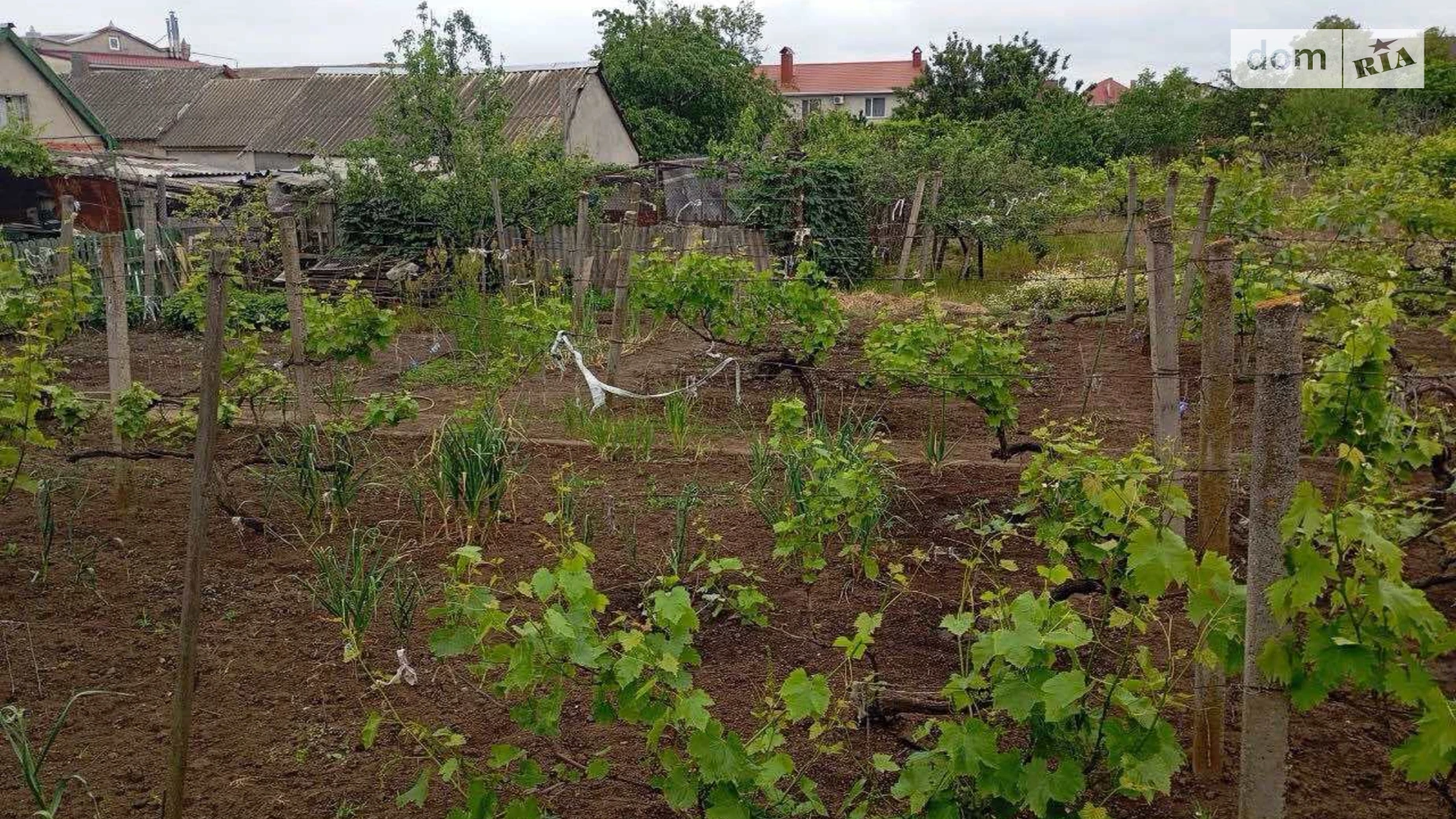 вулиця Центральна Крыжановка (Одесса), цена: 73000 $ - фото 5