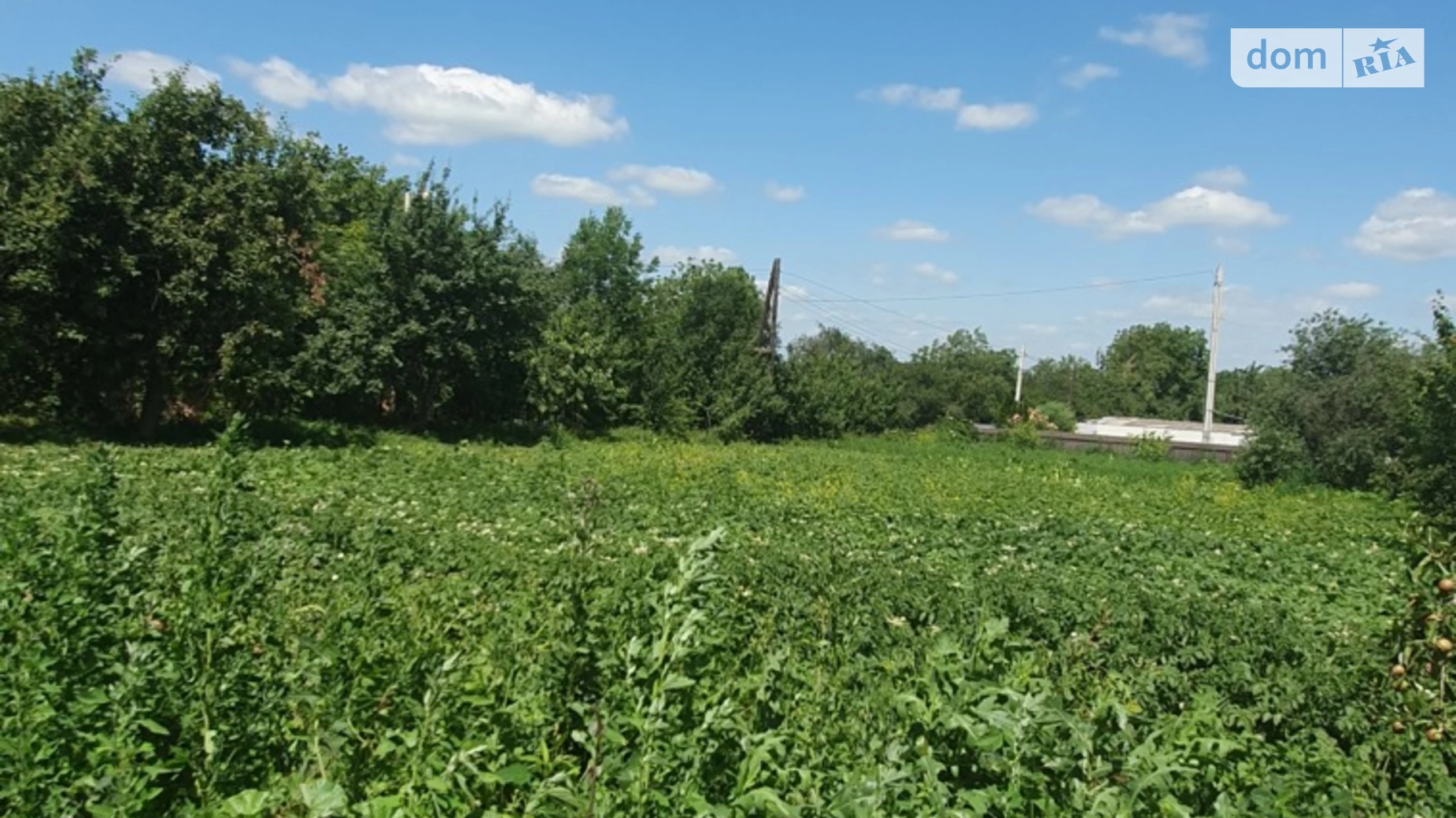ул. Мира(Ленина) Щитки, цена: 32000 $ - фото 5