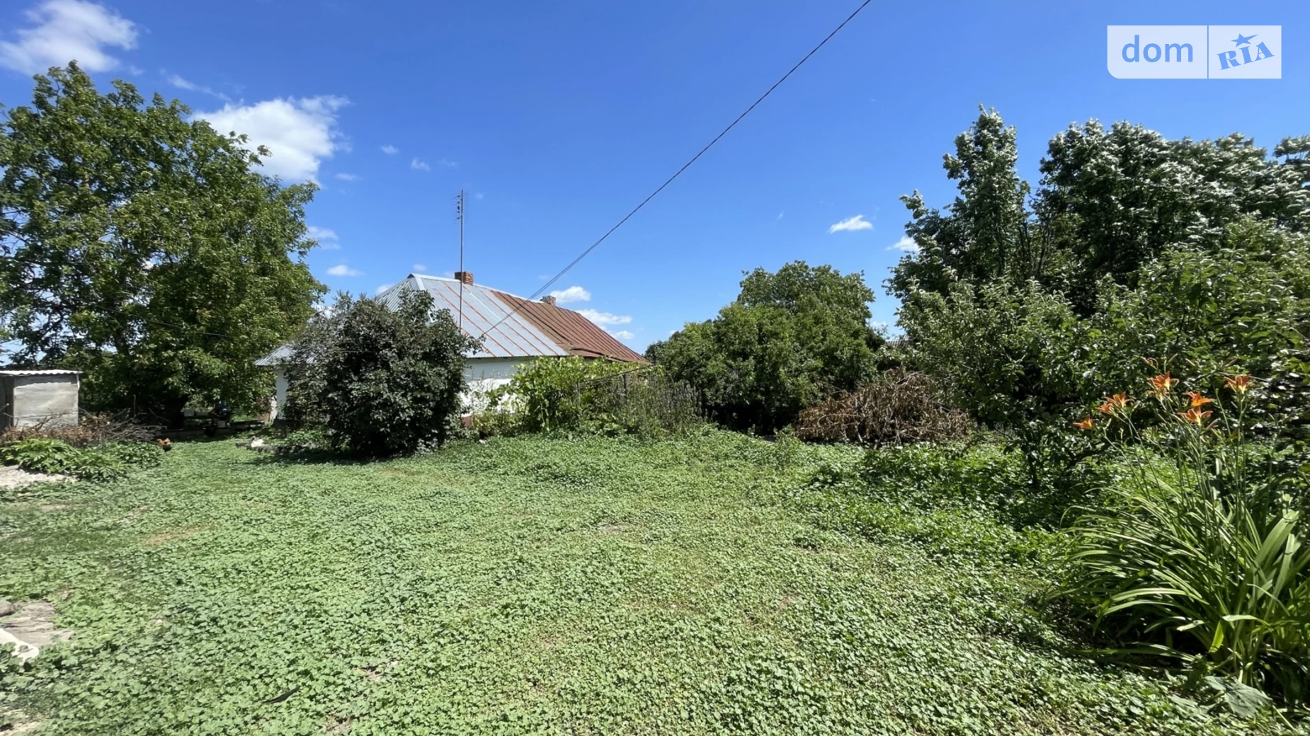 ул. Мира(Ленина) Щитки, цена: 32000 $ - фото 2