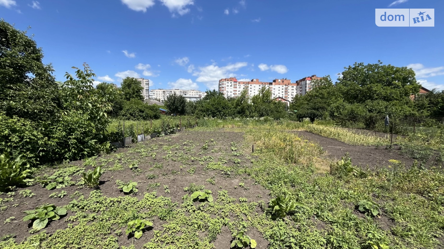 Продается земельный участок 25 соток в Хмельницкой области, цена: 280000 $ - фото 4