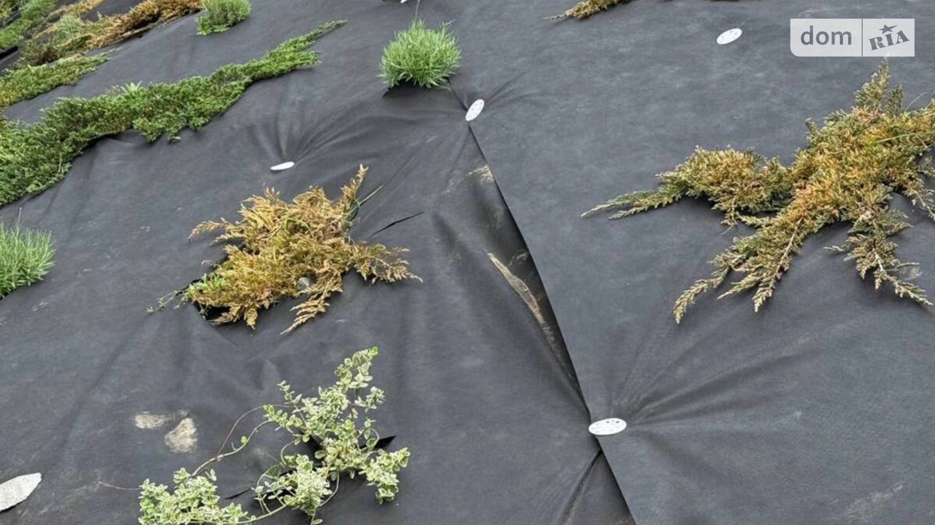 Продается 3-комнатная квартира 76.4 кв. м в Хмельницком, ул. Свободы, 12А - фото 5