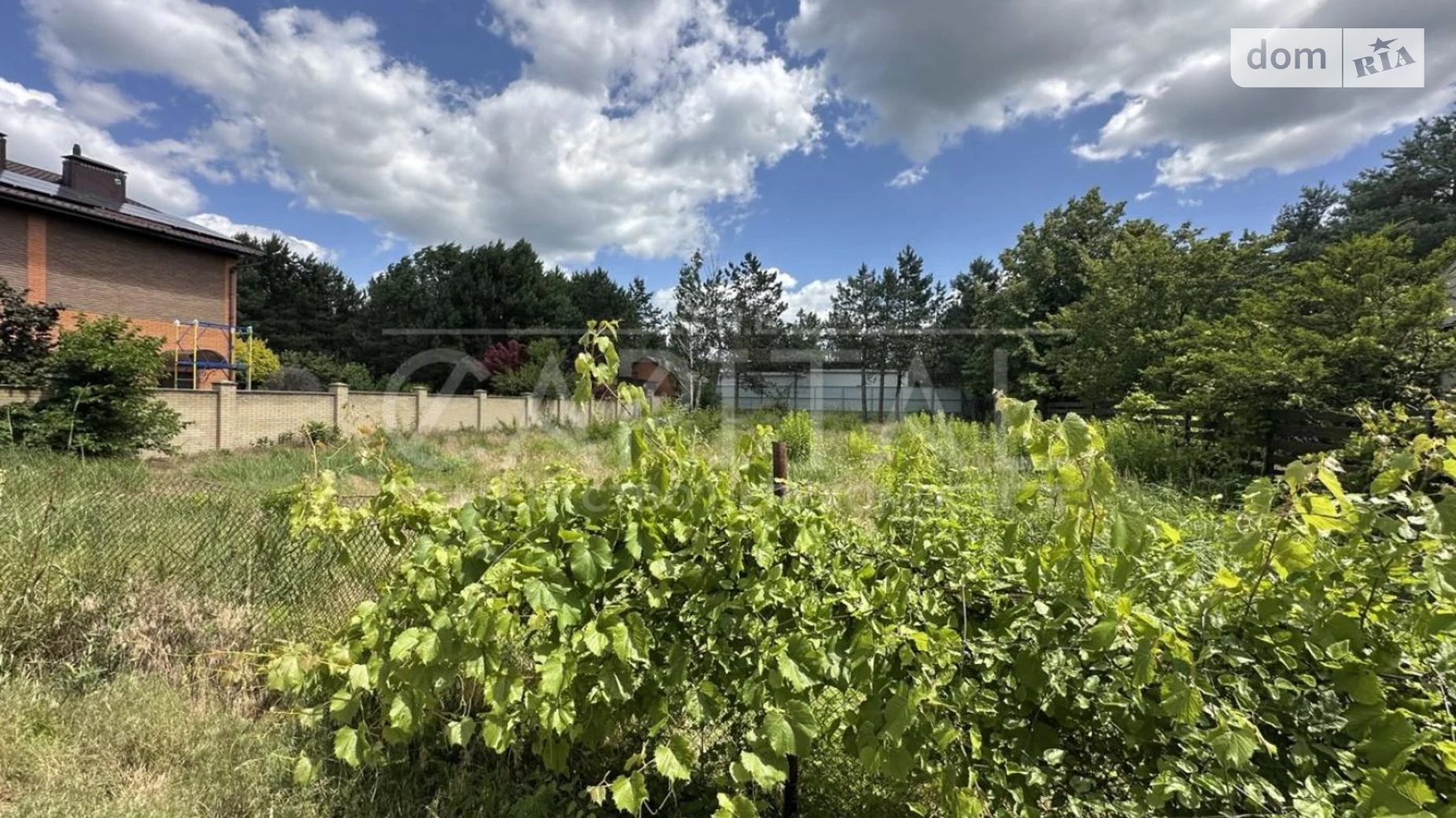 Козин (Обухов), цена: 125000 $ - фото 3