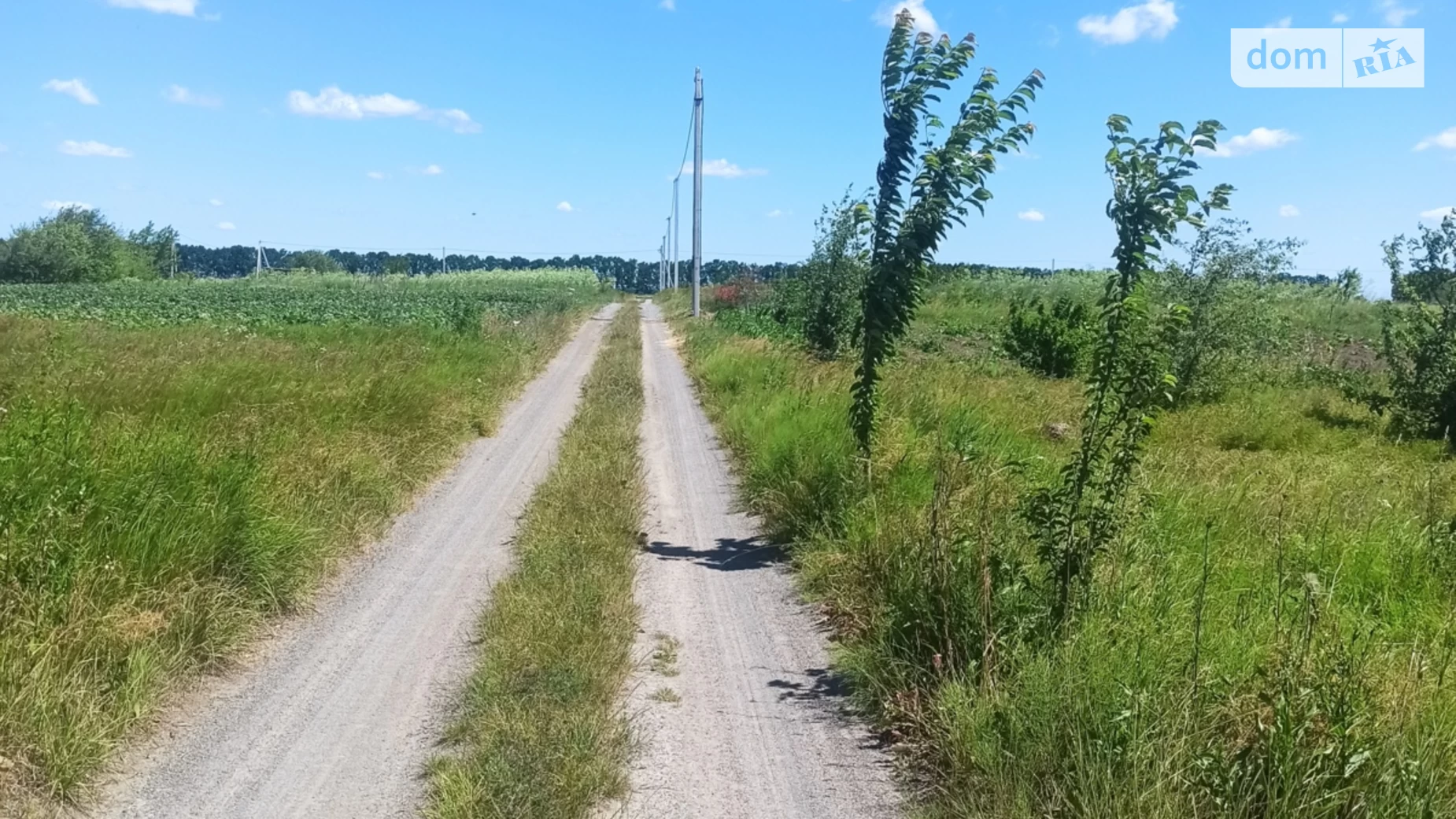 Продається земельна ділянка 6 соток у Вінницькій області, цена: 20000 $ - фото 3