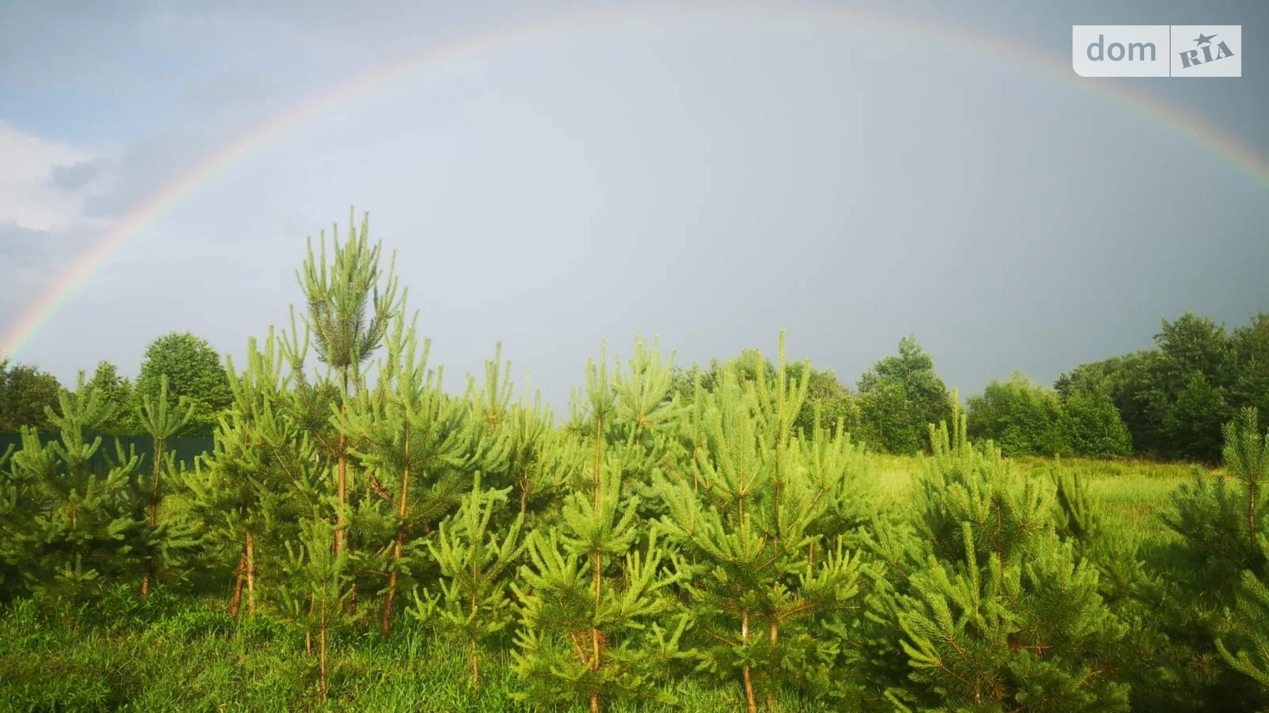 Продается земельный участок 26.44 соток в Волынской области, цена: 35000 $ - фото 5