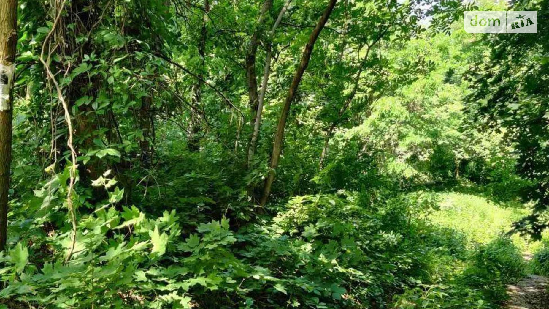 Продається земельна ділянка 10 соток у Київській області, цена: 105000 $ - фото 5