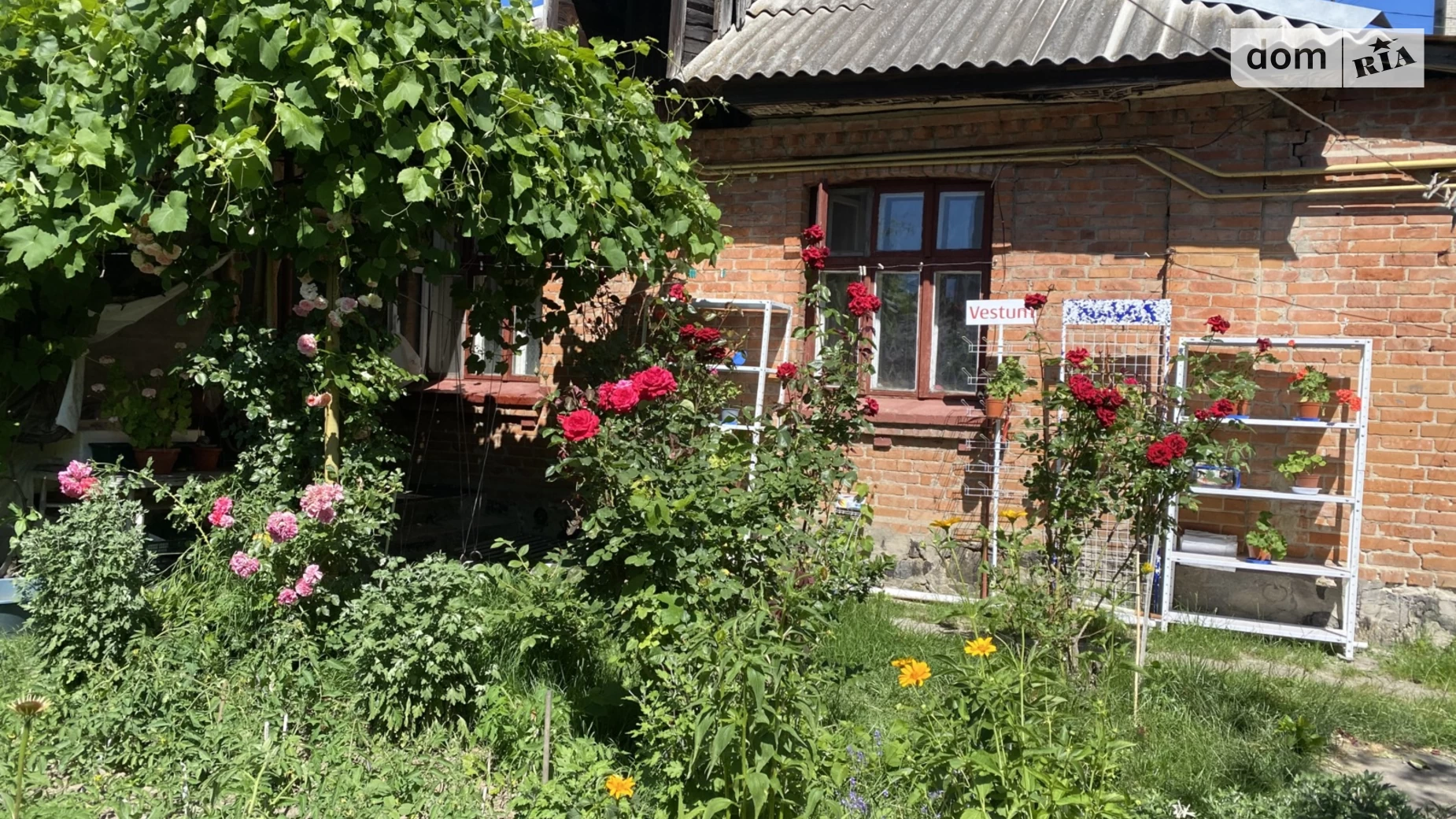 Продается земельный участок 8 соток в Винницкой области, цена: 650000 $ - фото 3