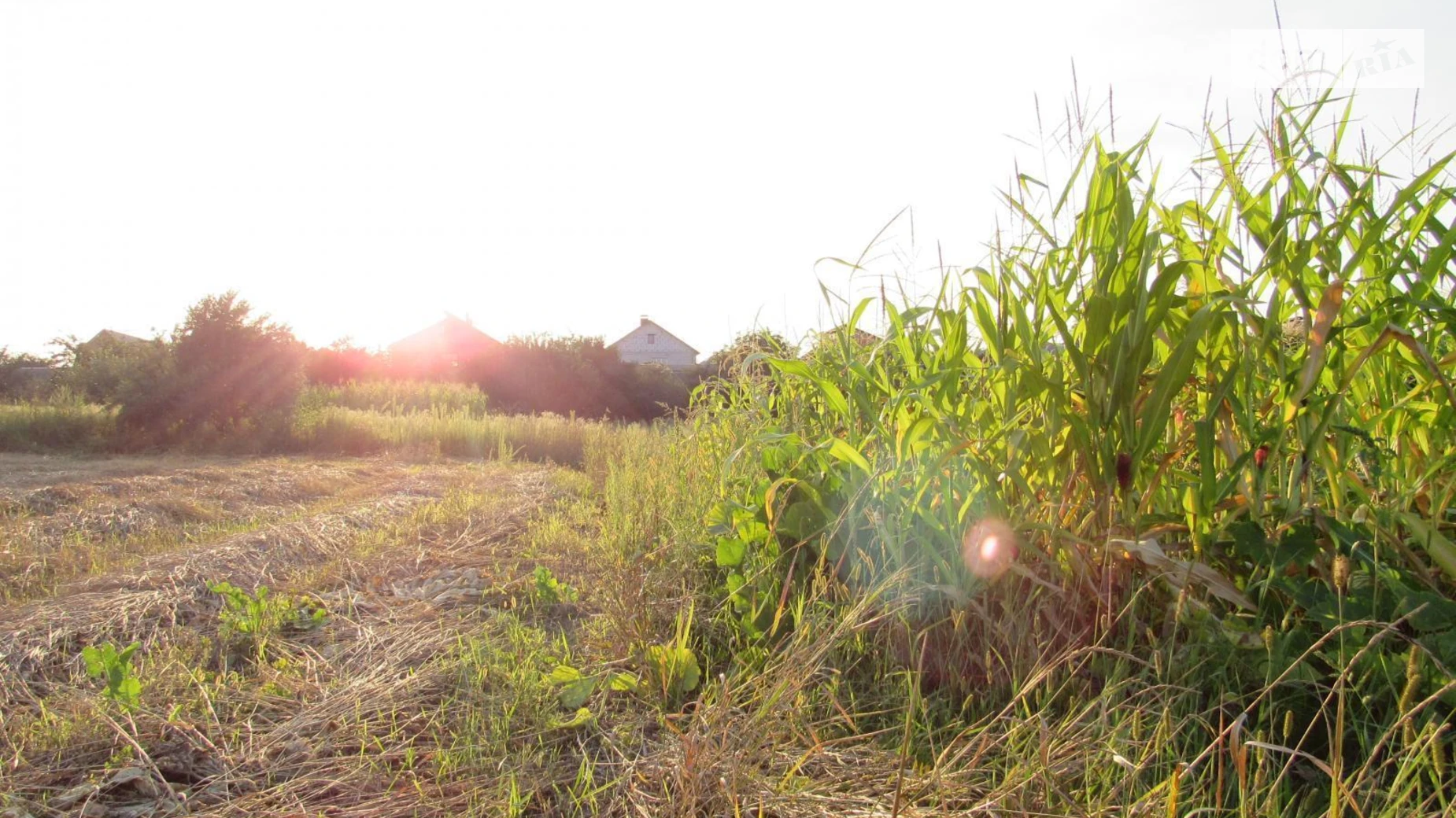 вул. Садова, 7 Осокорки Київ, цена: 99000 $ - фото 5