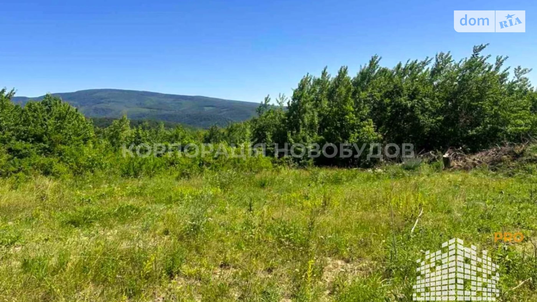 Продается земельный участок 19 соток в Закарпатской области, цена: 28500 $ - фото 4