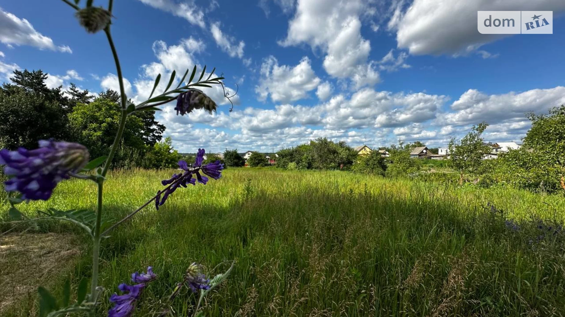 ул. Шевченко Мироцкое, цена: 15500 $ - фото 5