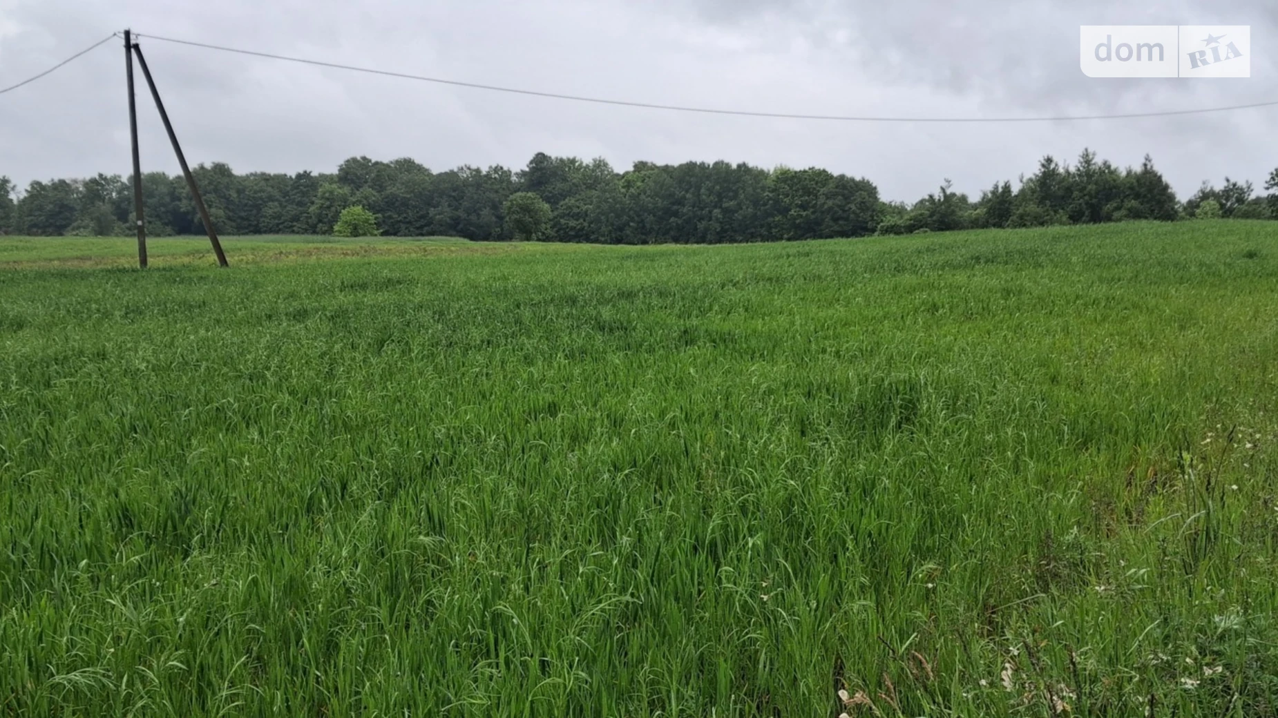 Продается земельный участок 0.3021 соток в Львовской области, цена: 75000 $ - фото 5