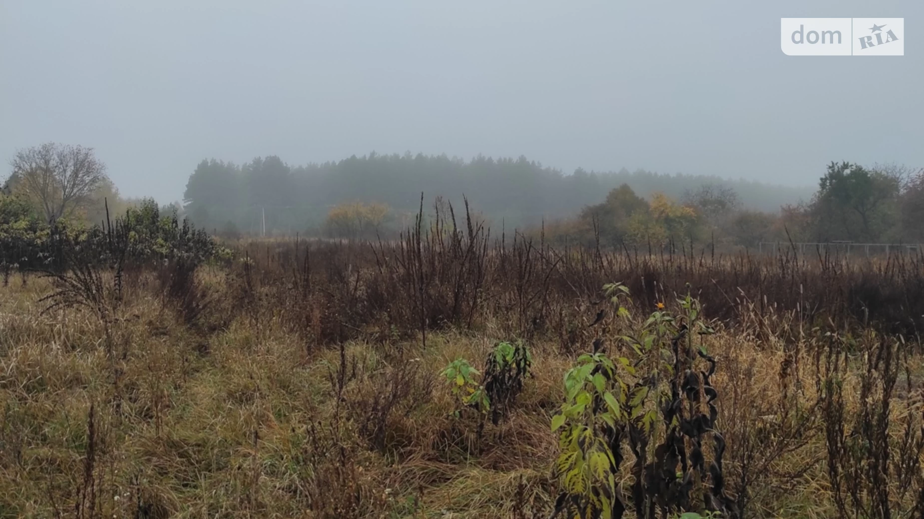 Продается одноэтажный дом 41.1 кв. м с балконом, цена: 15000 $ - фото 4