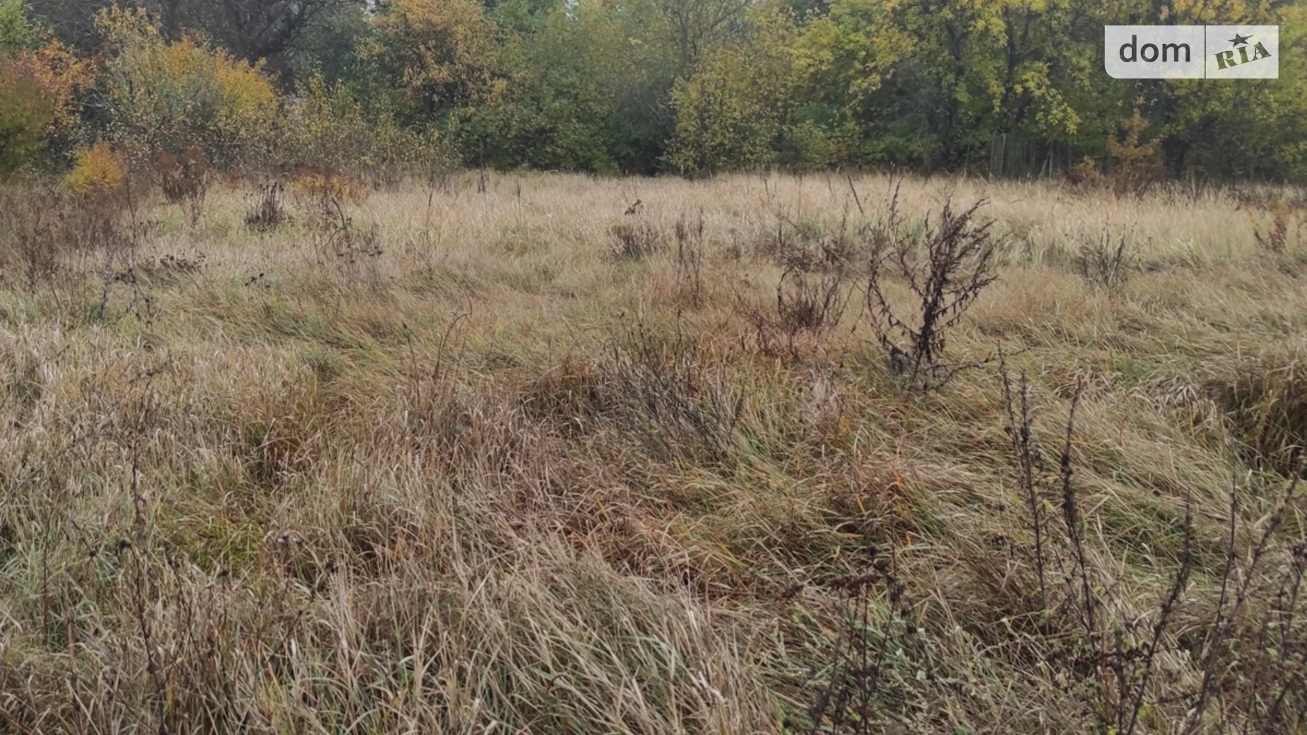 Продается одноэтажный дом 41.1 кв. м с балконом, цена: 15000 $ - фото 5