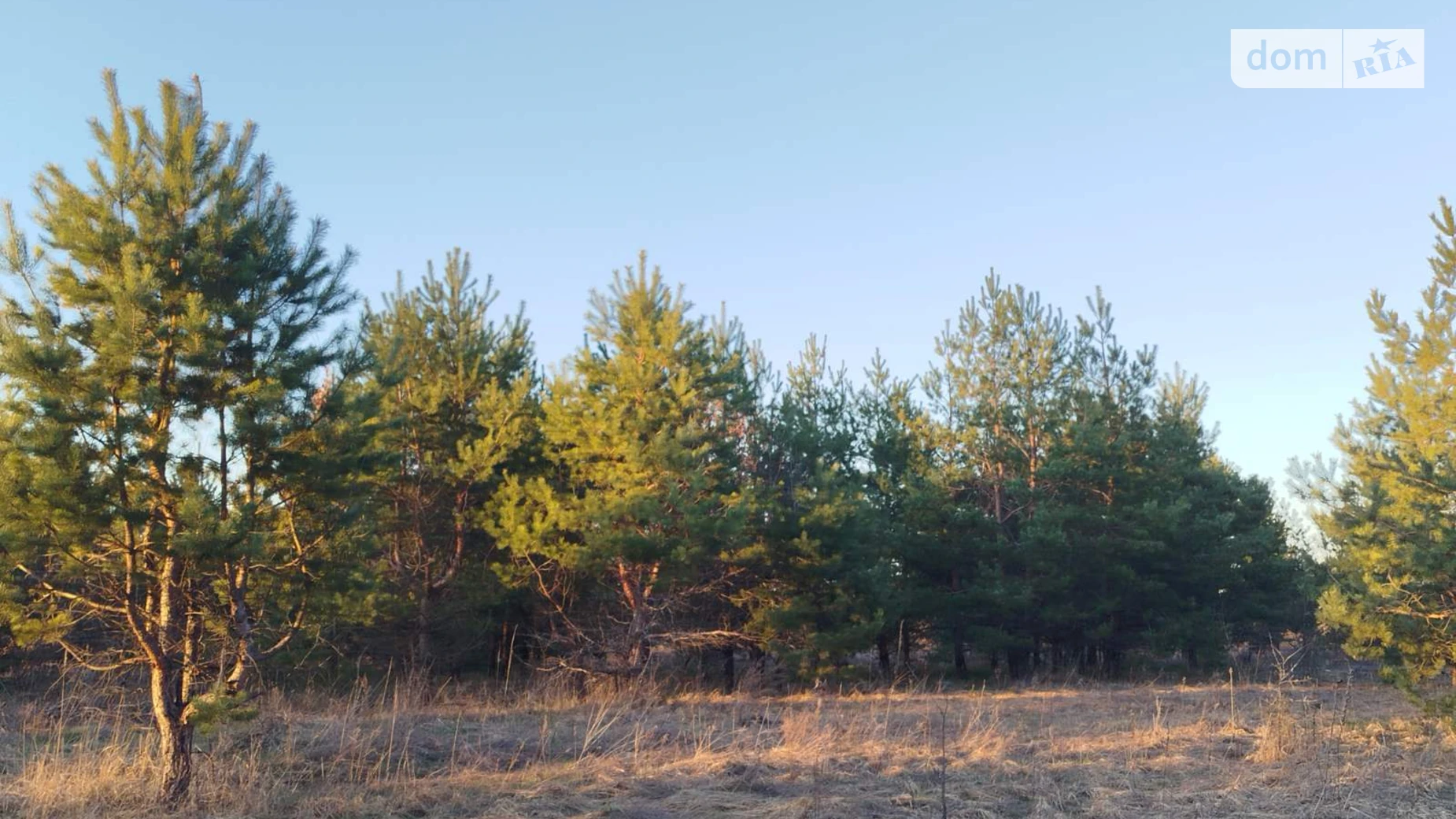 Продается объект сферы услуг 431 кв. м в 1-этажном здании, цена: 350000 $ - фото 2