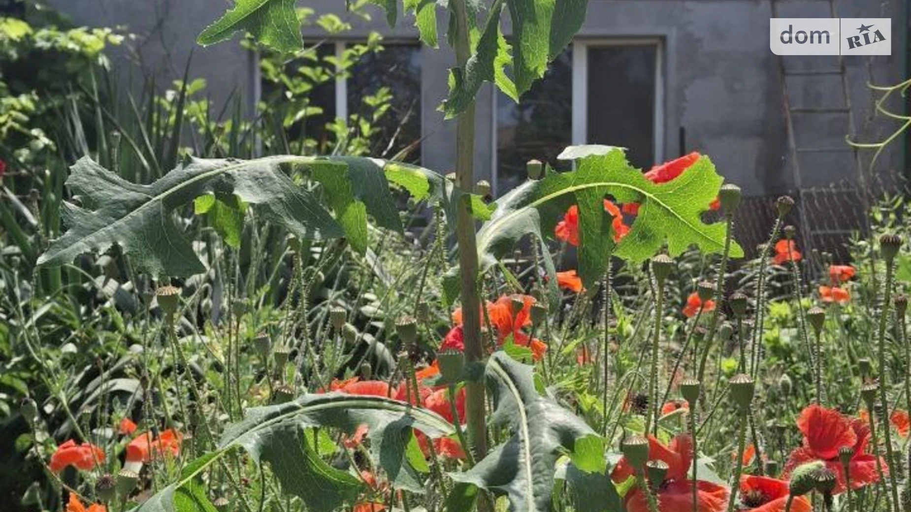 Продается часть дома 89.5 кв. м с гаражом, цена: 17000 $ - фото 2