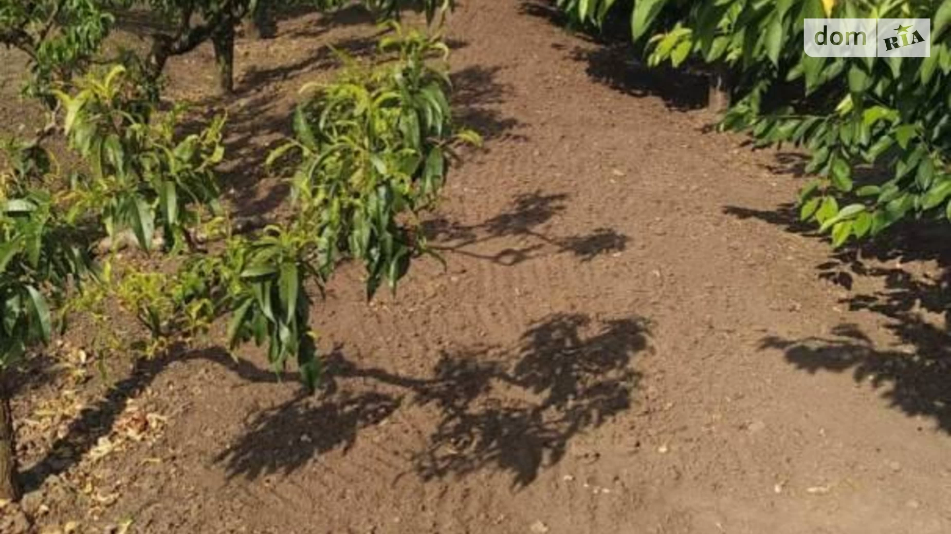 Продается земельный участок 20.6 соток в Одесской области, цена: 4000 $ - фото 2