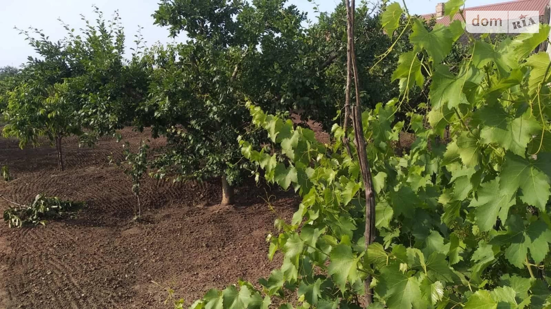 Продается земельный участок 20.6 соток в Одесской области, цена: 4000 $ - фото 5