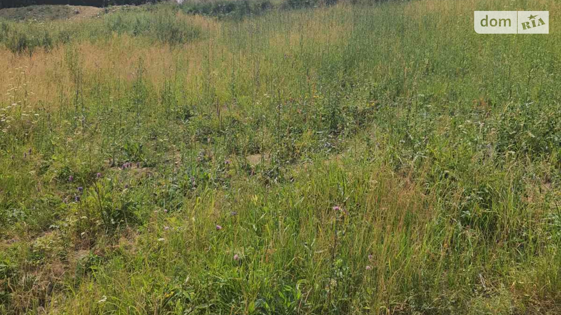 Продается земельный участок 7.3 соток в Львовской области, цена: 24300 $ - фото 5