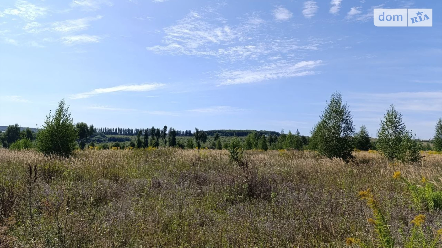 ул. Центральная Лесовые Гриновцы, цена: 8000 $ - фото 4