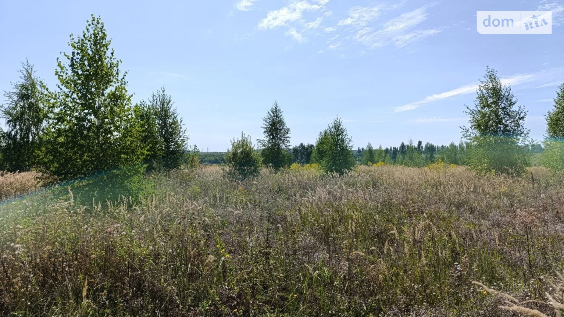 ул. Центральная Лесовые Гриновцы, цена: 8000 $ - фото 5