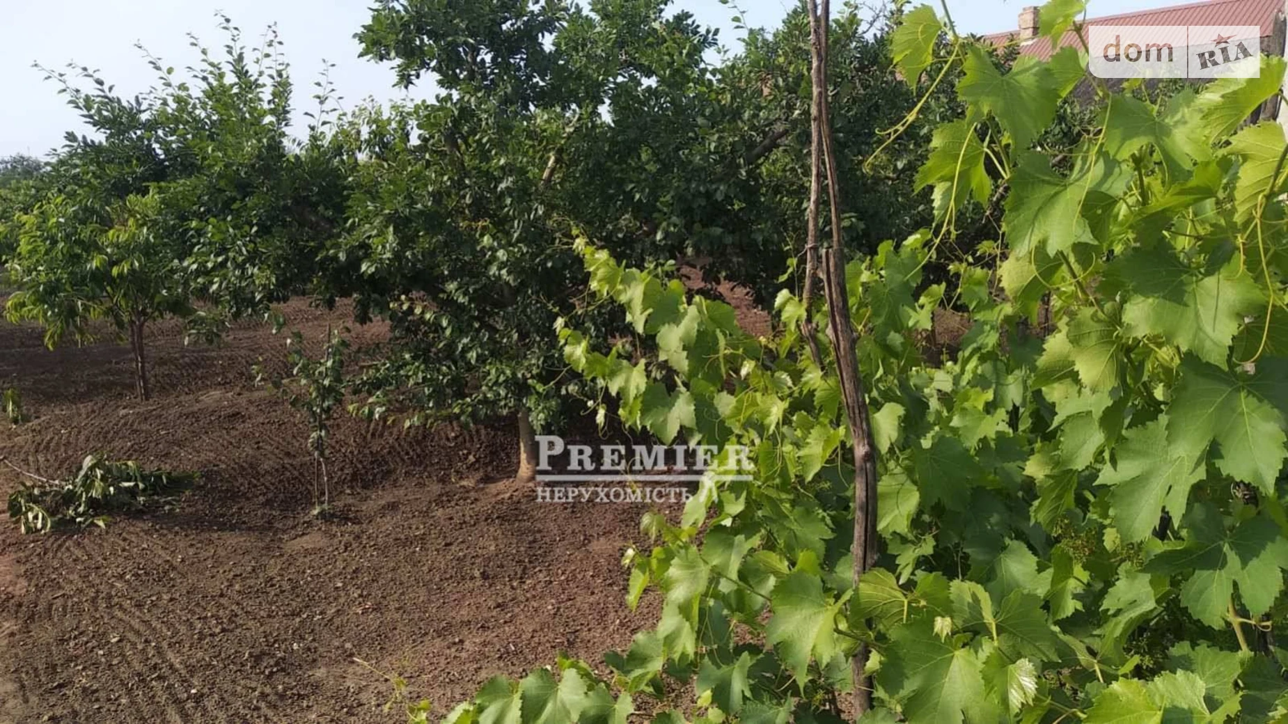 Продается земельный участок 20.6 соток в Одесской области, цена: 4000 $ - фото 4