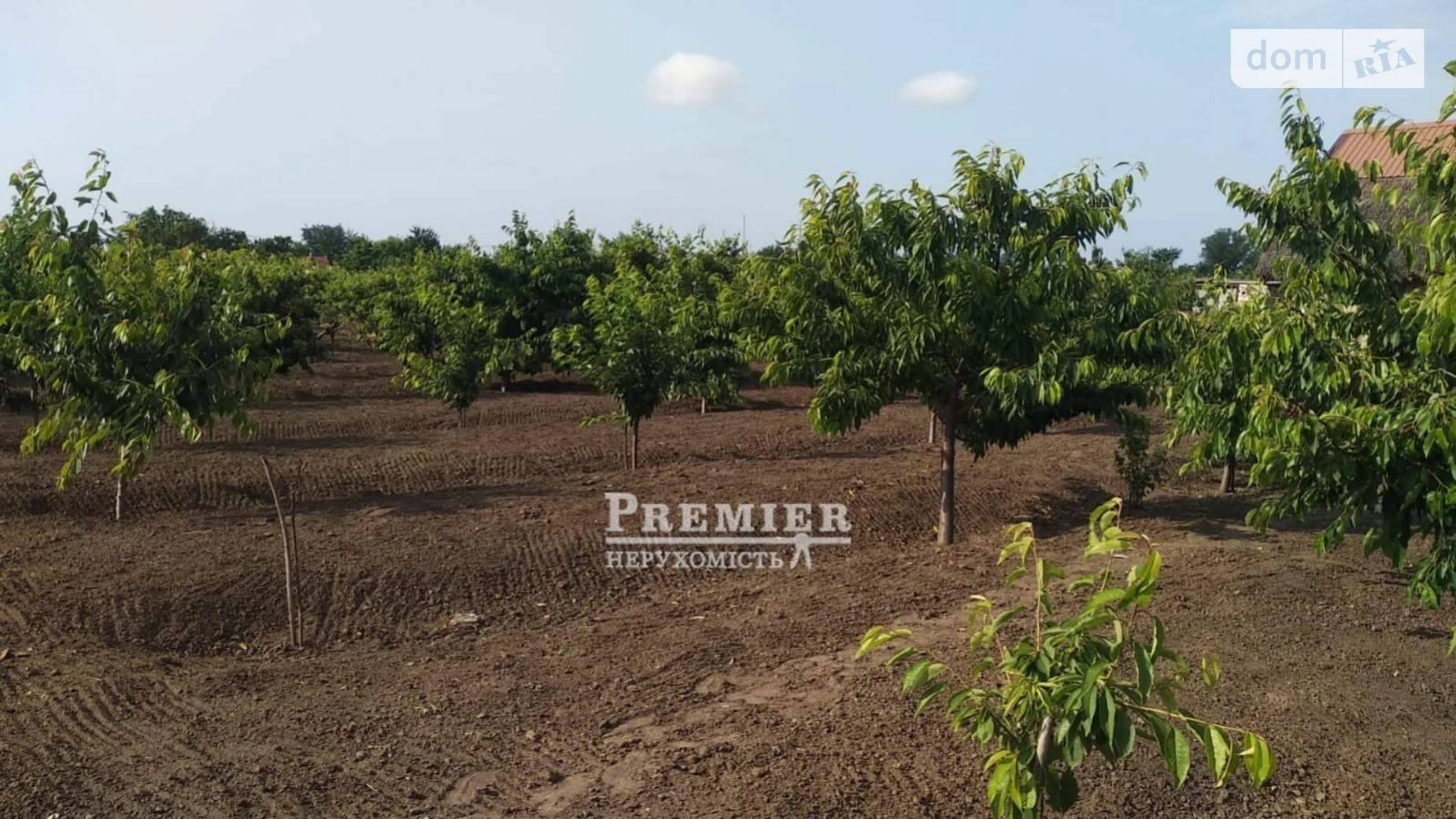 Продается земельный участок 20.6 соток в Одесской области, цена: 4000 $ - фото 5