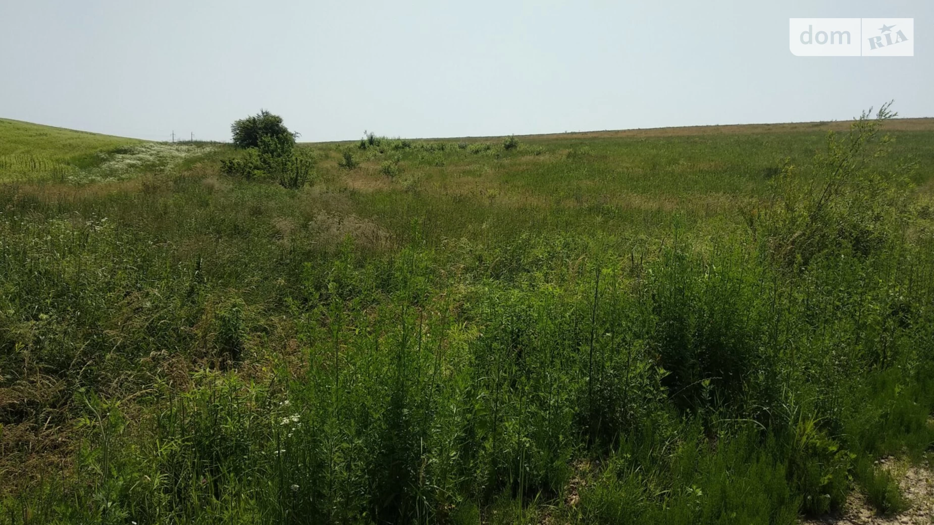 Продається земельна ділянка 6.97 соток у Івано-Франківській області, цена: 9000 $ - фото 5