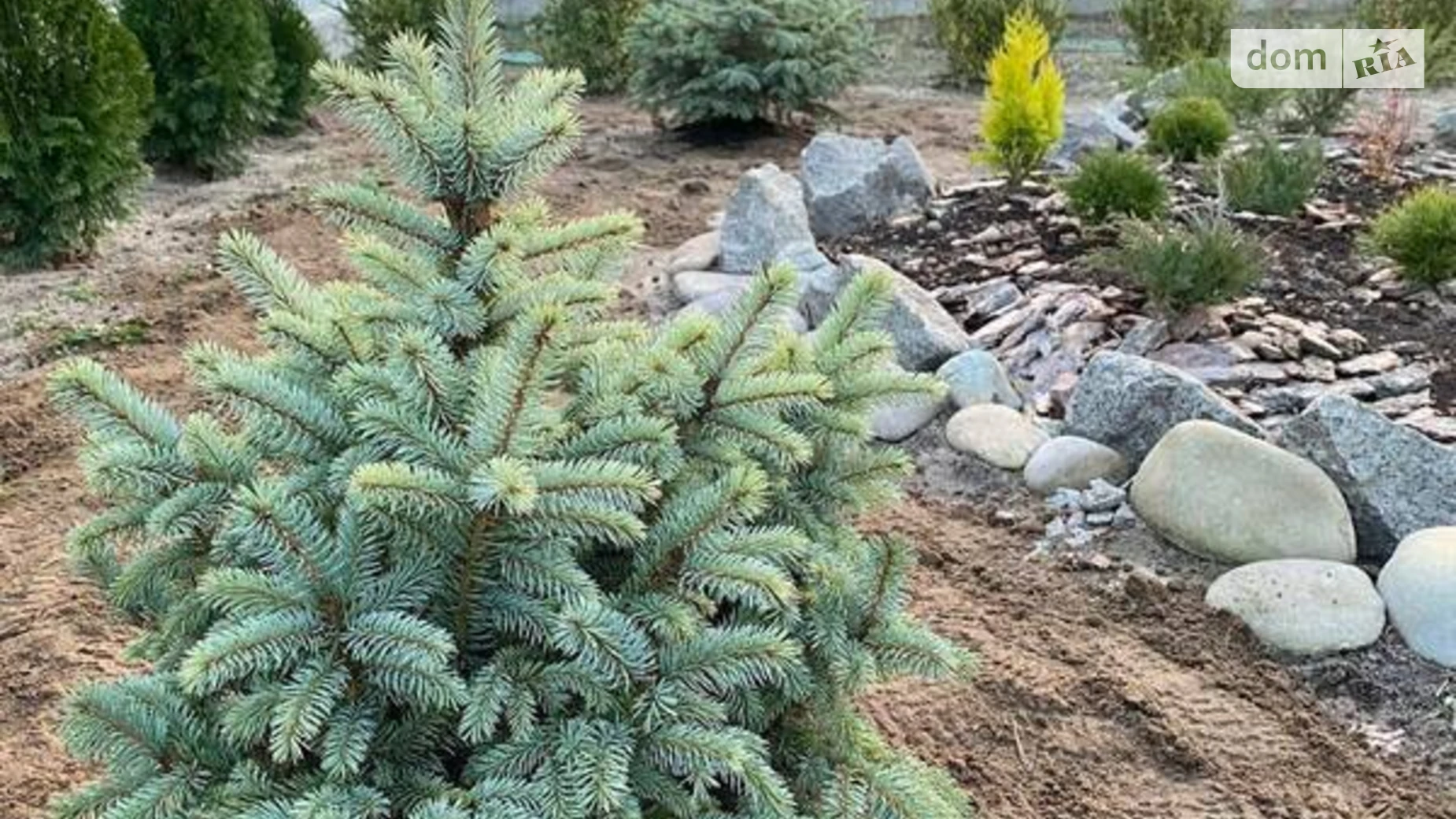 Продається будинок 2 поверховий 254 кв. м з бесідкою, цена: 80000 $ - фото 5