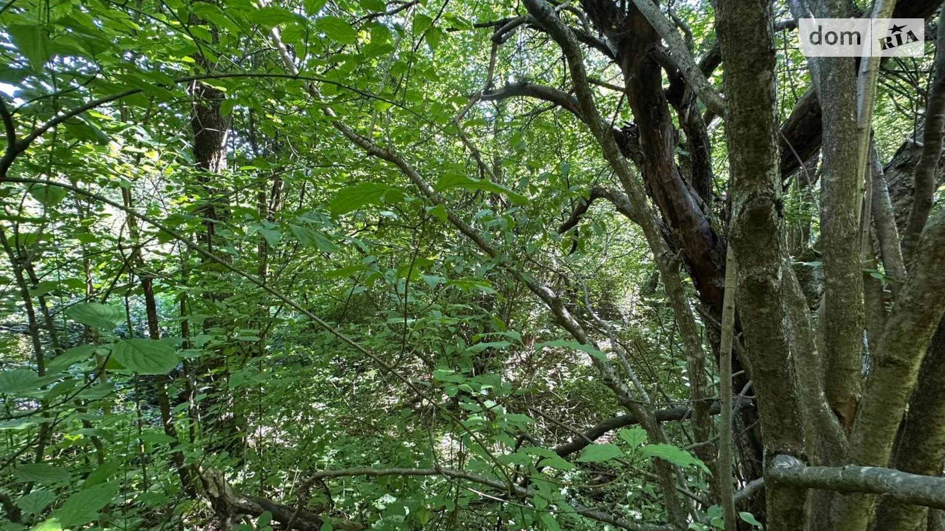 Продається земельна ділянка 25 соток у Івано-Франківській області, цена: 13800 $ - фото 2