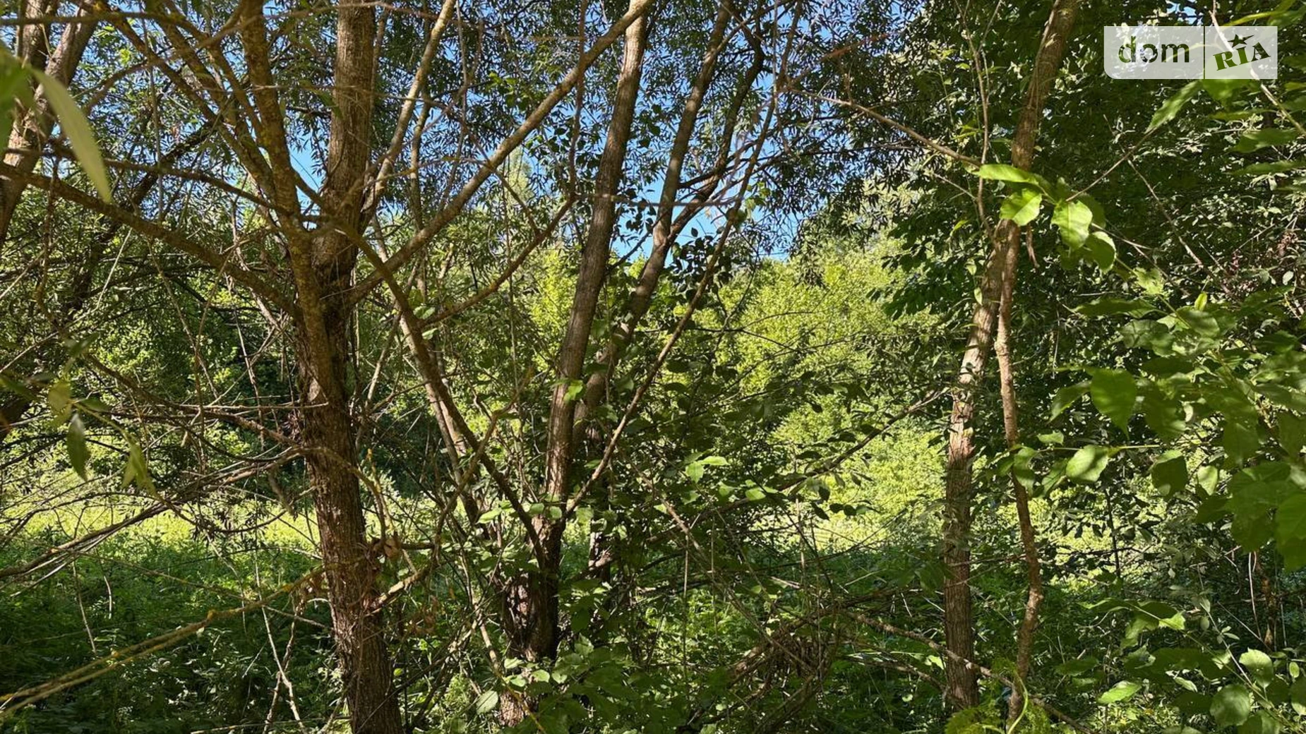 Продається земельна ділянка 25 соток у Івано-Франківській області, цена: 13800 $ - фото 5