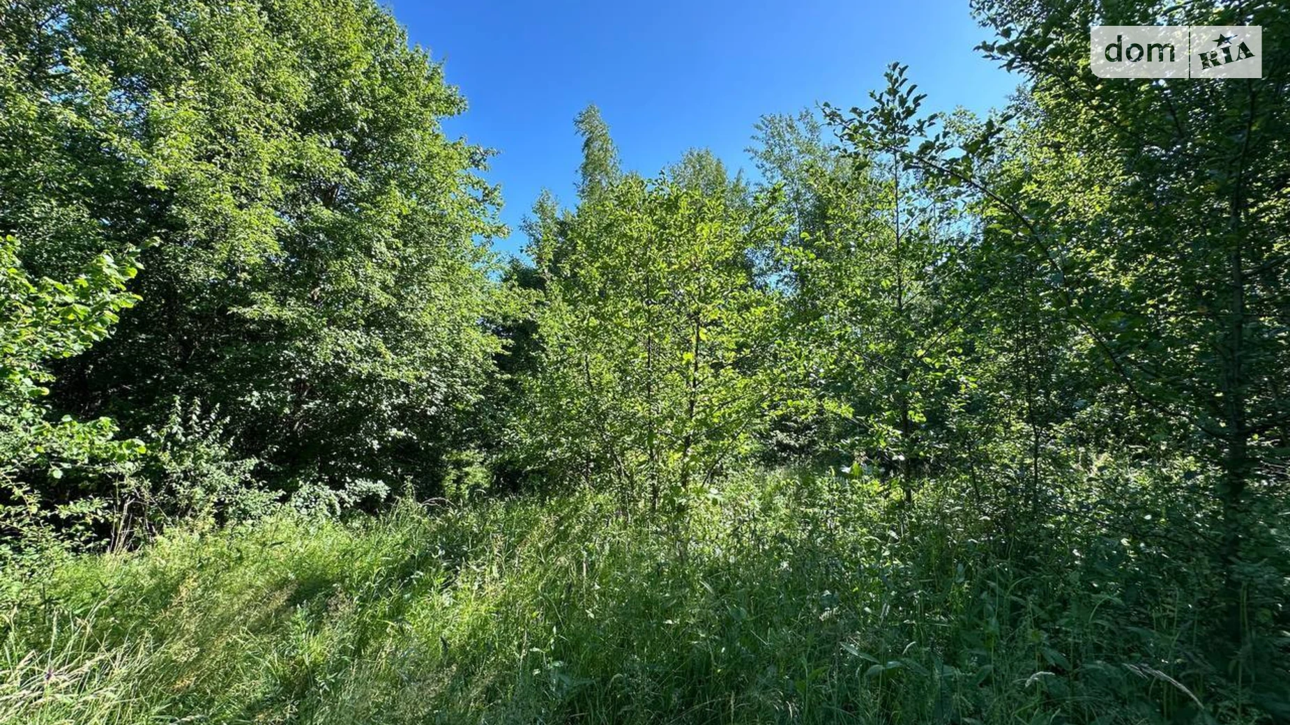 Продається земельна ділянка 25 соток у Івано-Франківській області, цена: 13800 $ - фото 4