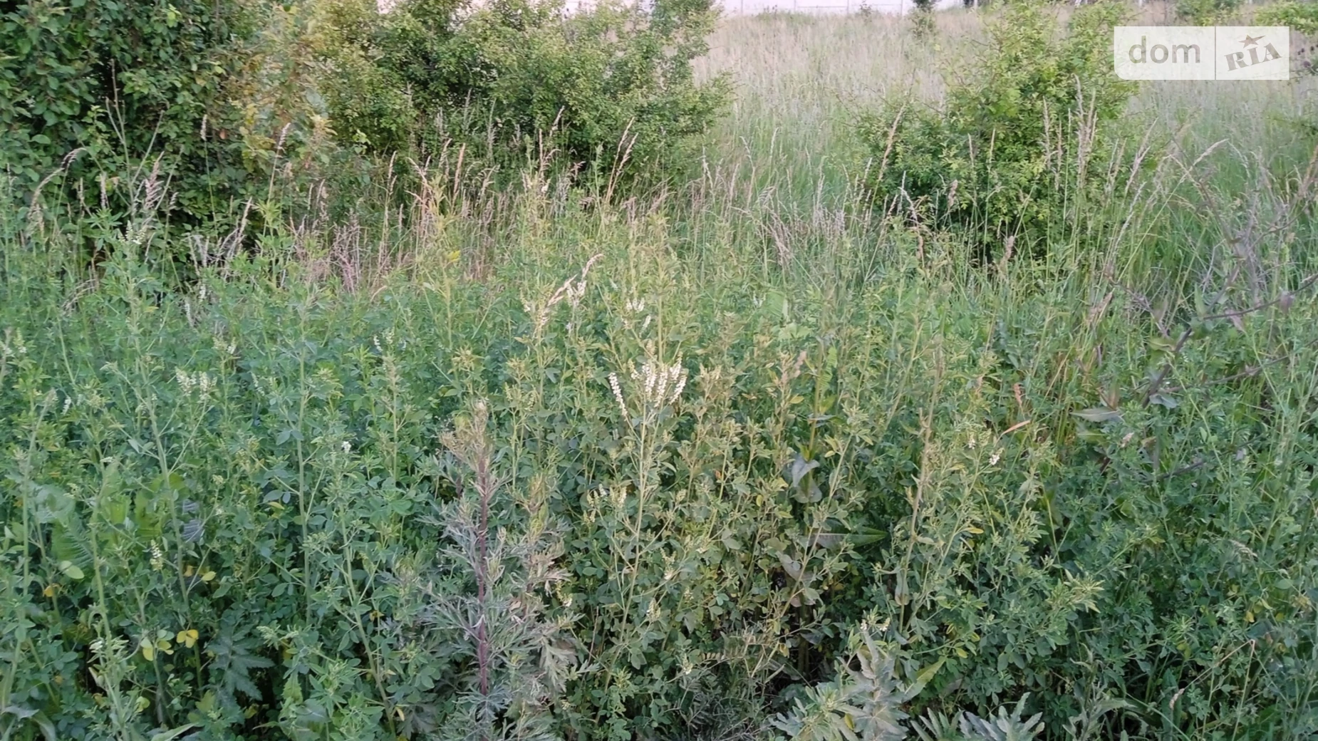 Продается земельный участок 0.889 соток в Винницкой области, цена: 24000 $ - фото 4