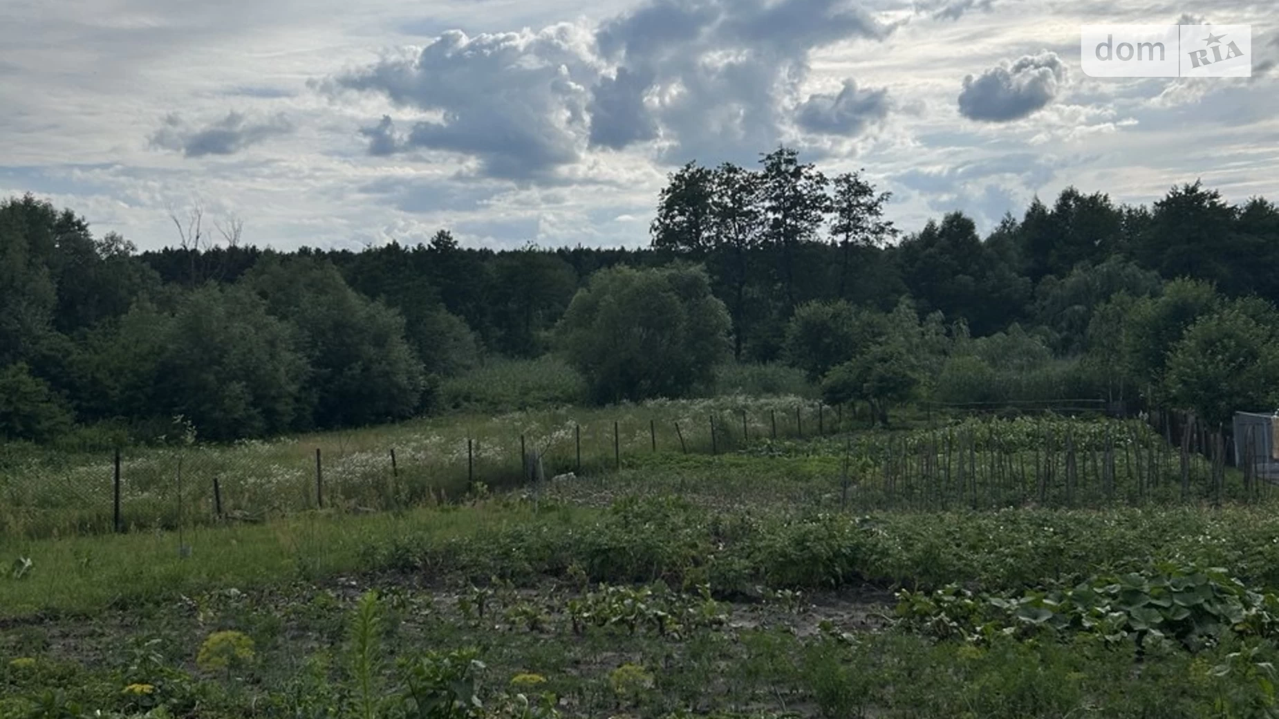 Продается земельный участок 9 соток в Ровенской области, цена: 7500 $ - фото 2