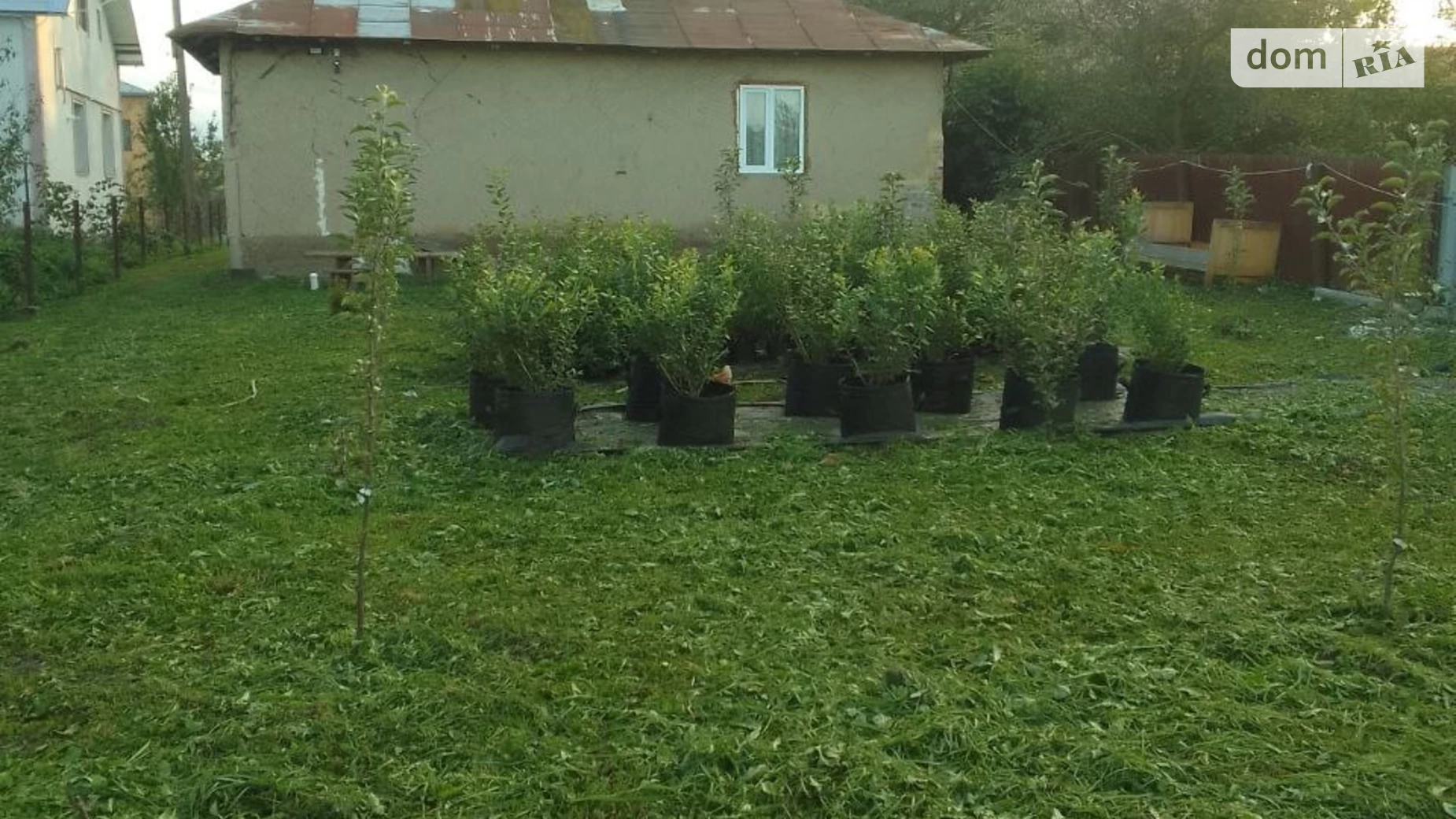 Продается одноэтажный дом 55 кв. м с балконом, цена: 385000 грн - фото 5