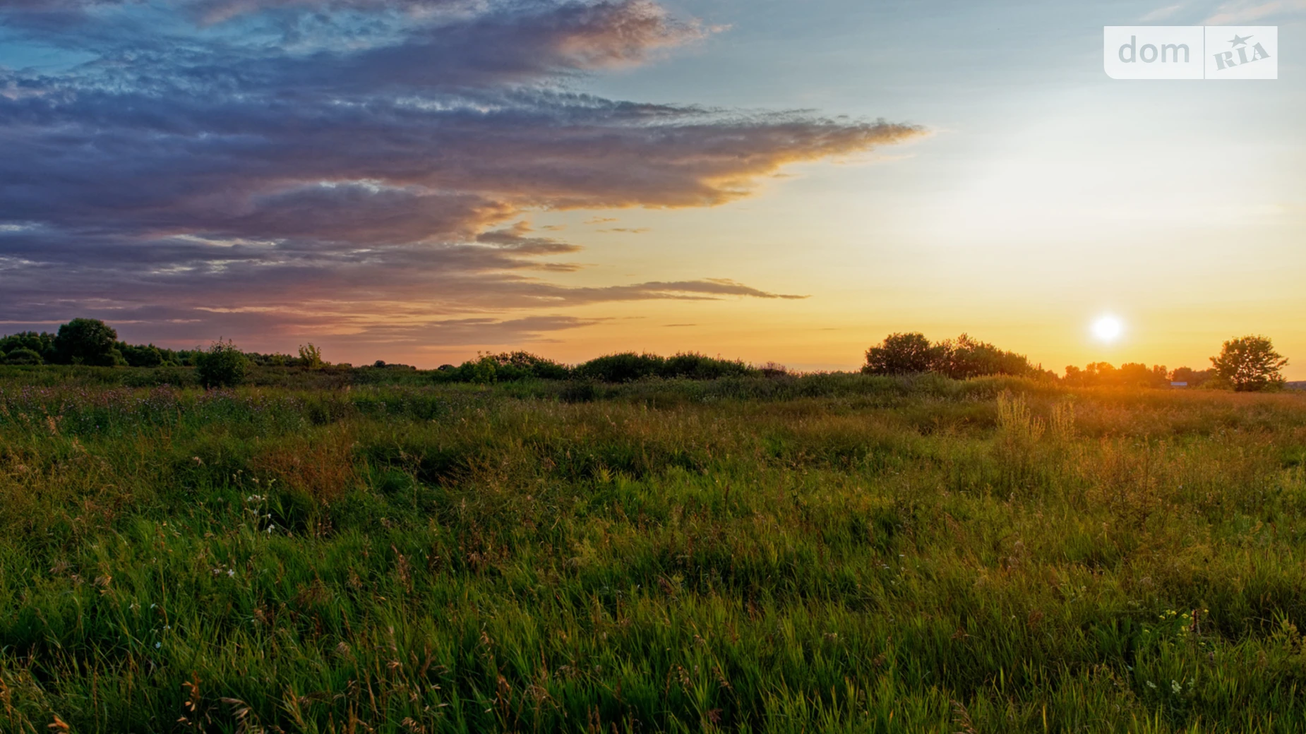 Продается земельный участок 66 соток в Черниговской области, цена: 4000 $ - фото 2
