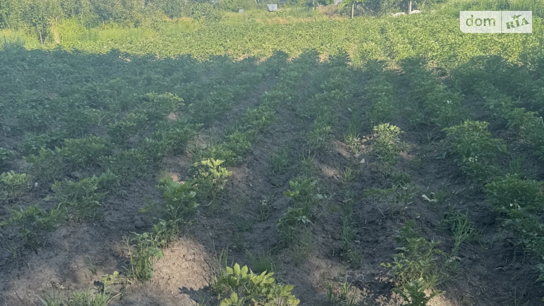 ул. Садовая Агрономичное, цена: 32000 $ - фото 3