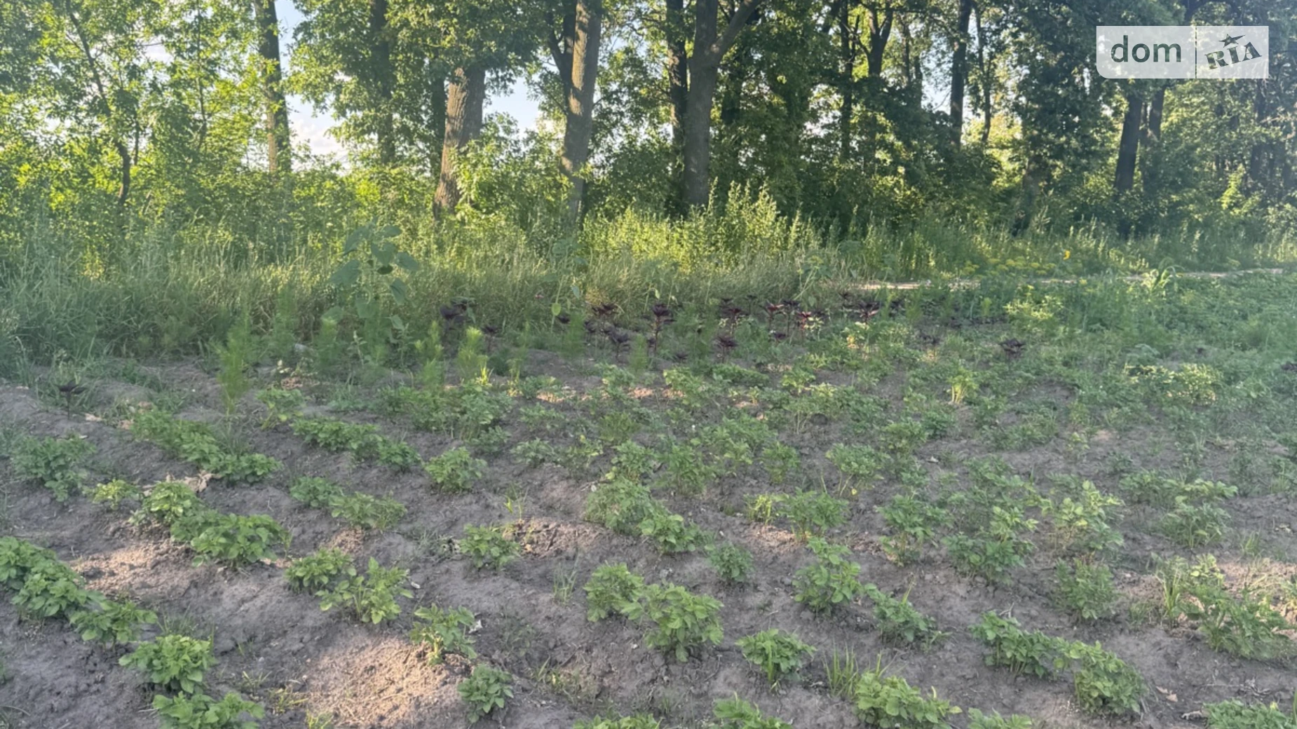 ул. Садовая Агрономичное, цена: 32000 $ - фото 4